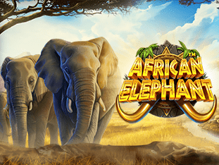 African Elephant icon