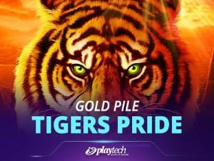 Gold Pile Tigers Pride game icon